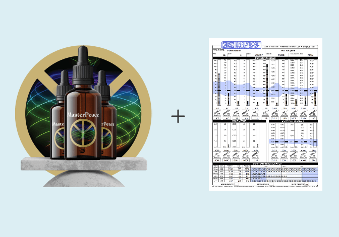 MasterPeace Hair Strand Test for heavy metals